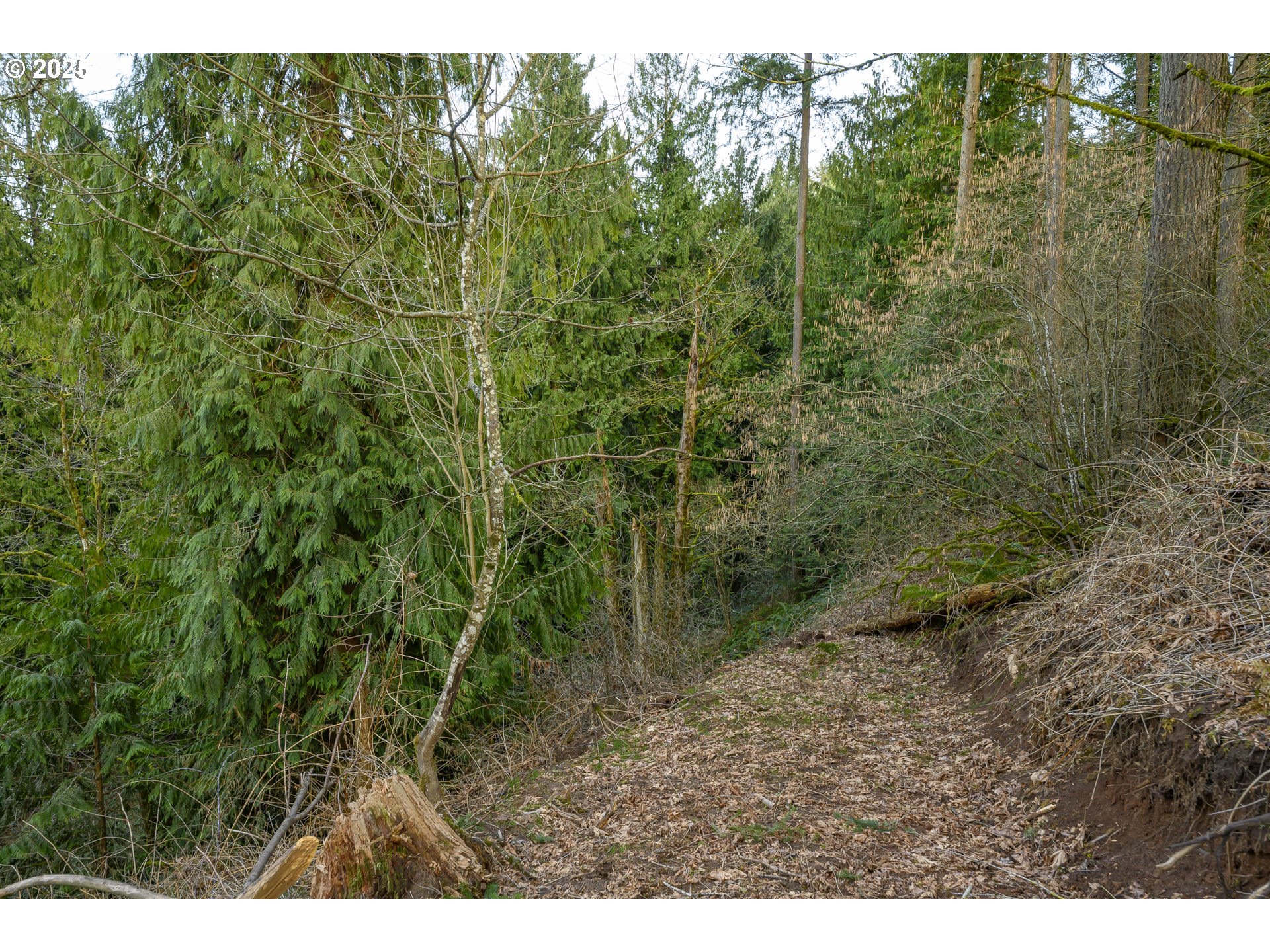 0 Northeast Quarry Road Newberg, OR 97132 - Photo 7 of 48 Gallery Image 7