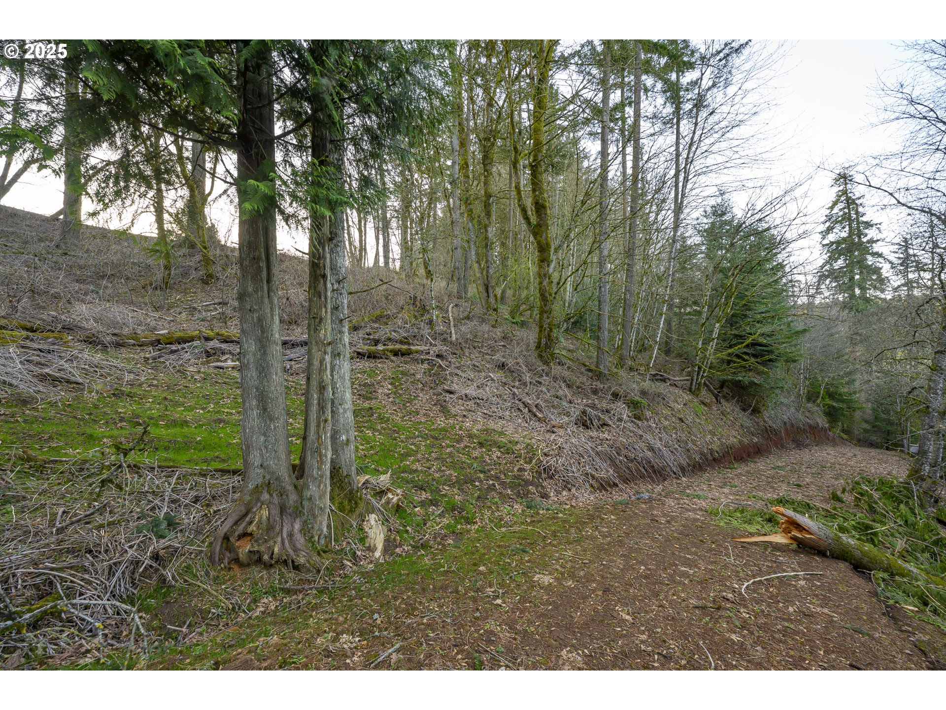 0 Northeast Quarry Road Newberg, OR 97132 - Photo 8 of 48 Gallery Image 8