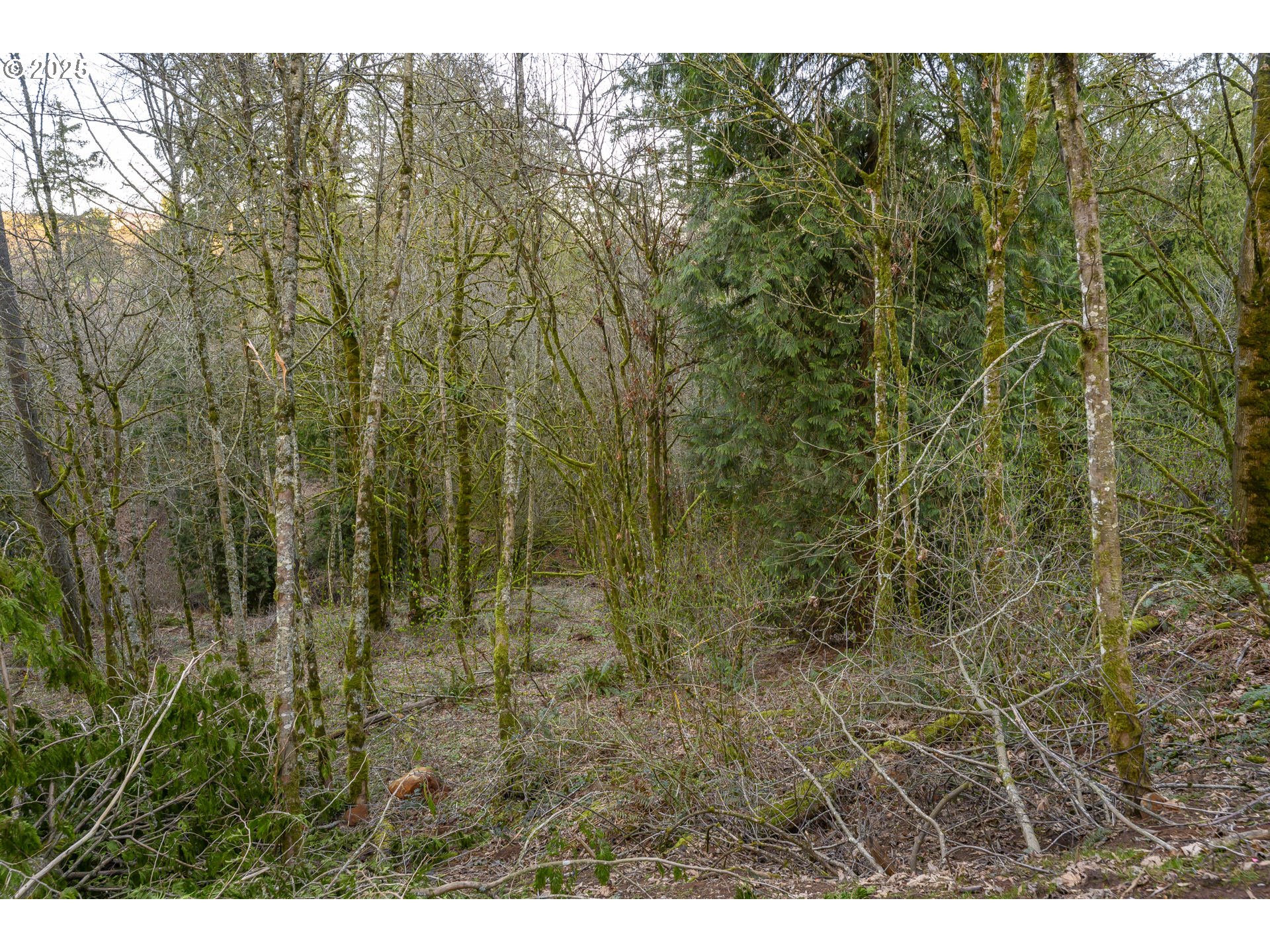 0 Northeast Quarry Road Newberg, OR 97132 - Photo 9 of 48 Gallery Image 9