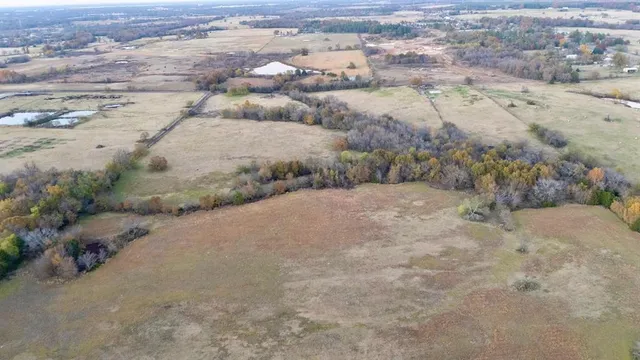 a view of a dry yard with trees