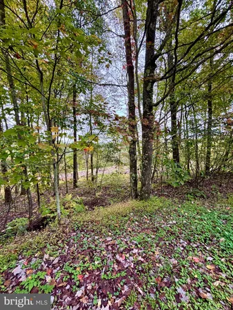 $826,800 | 31-36 Beech Creek Mountain Road, Beech Creek, PA 16822