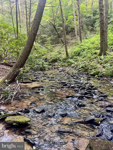 a view of yard with green space
