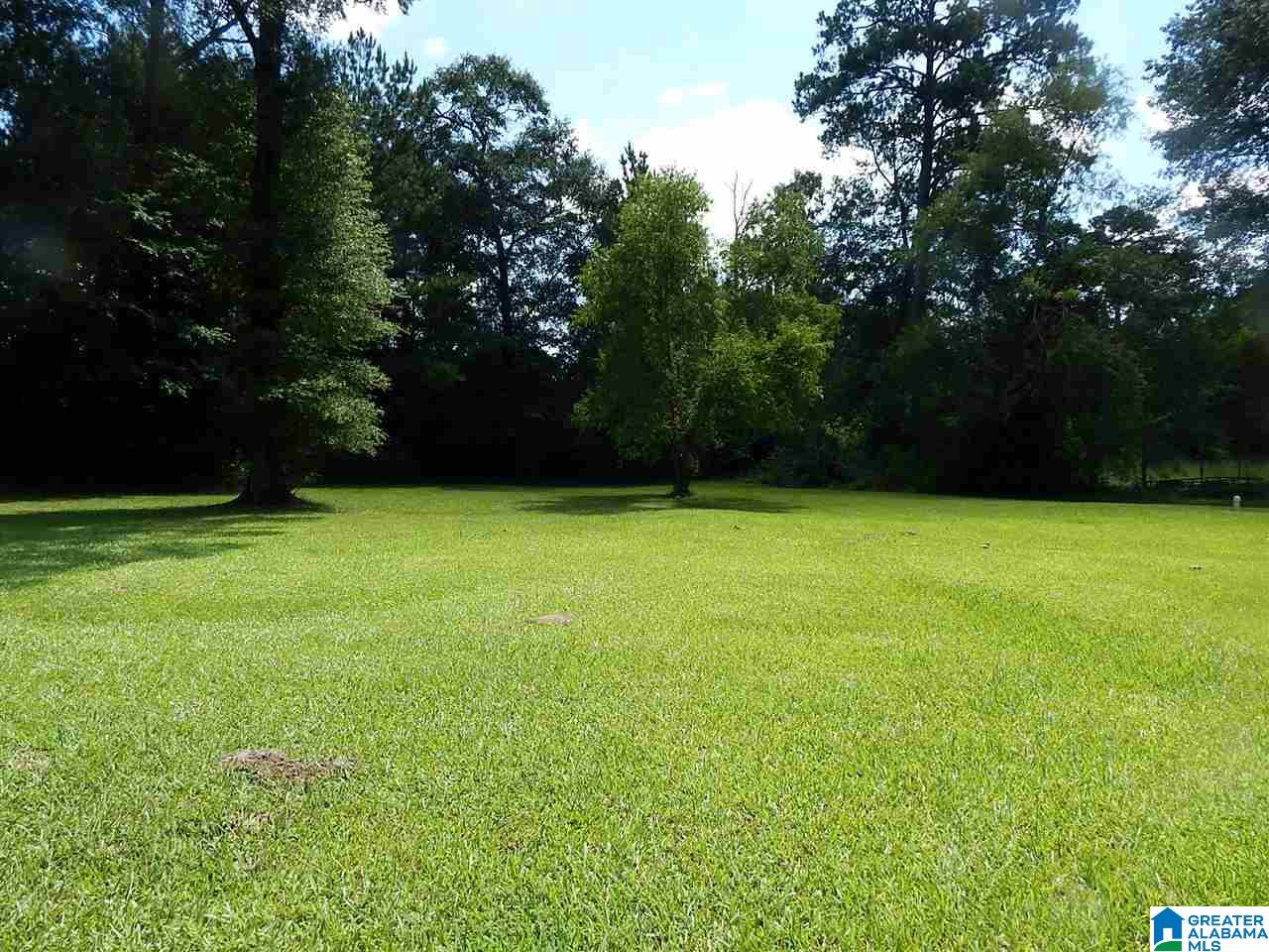406 Wilderness Lane Alabaster, AL 35007 - Photo 47 of 47