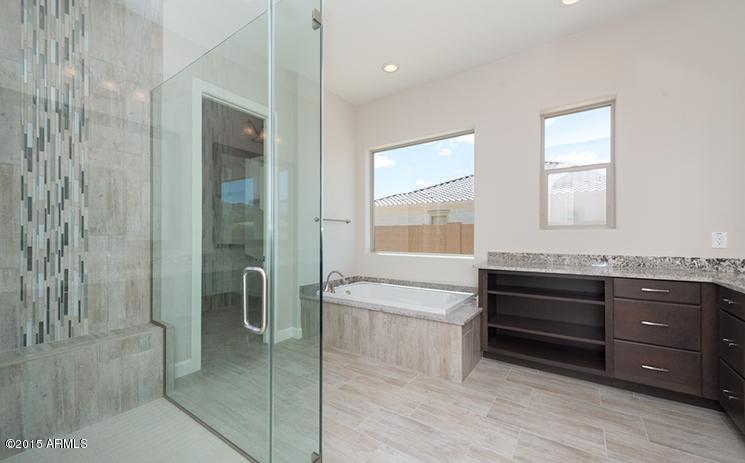 2916 East Harwell Road Phoenix, AZ 85042 - Photo 9 of 11 Master Tub_Shower