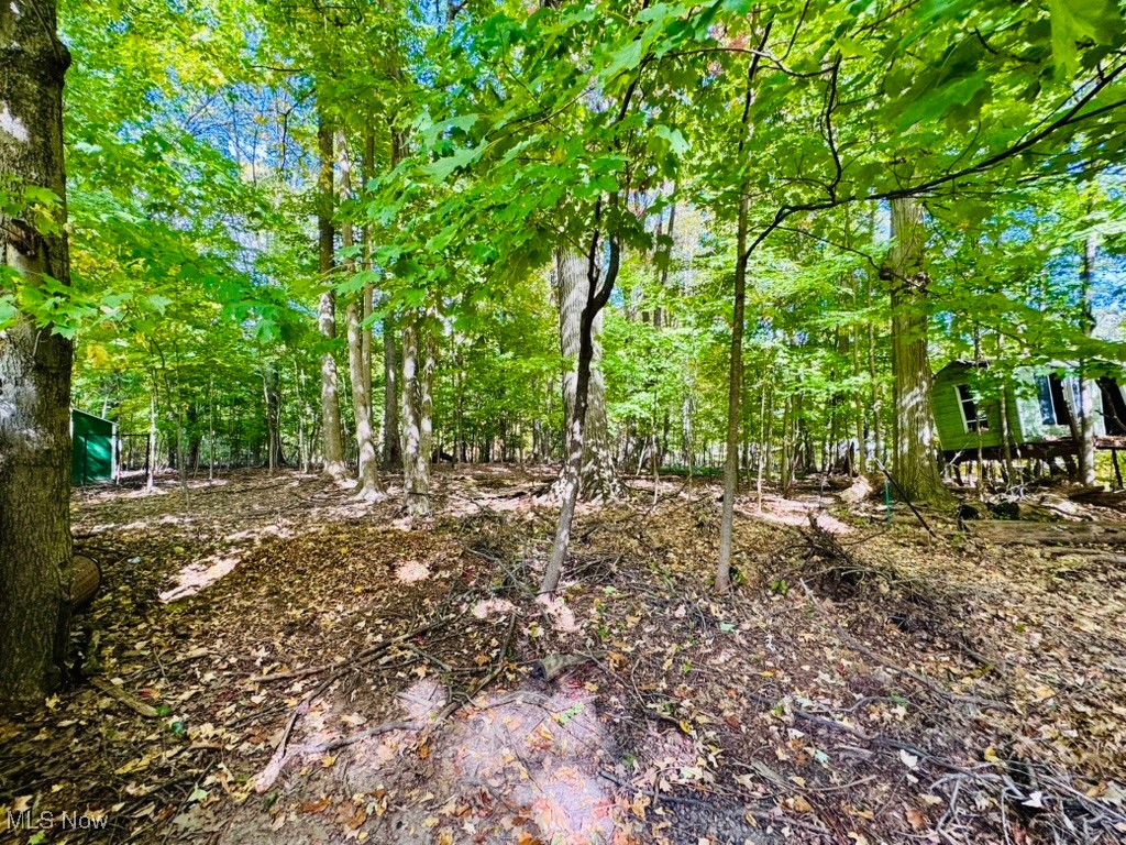 4769 Edenwood Road Cleveland, OH 44121 - Photo 26 of 27 Wooded back yard extends down to stream