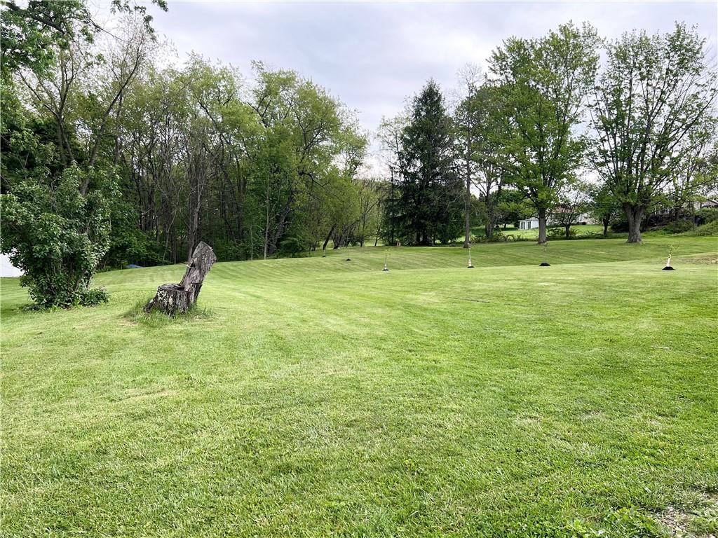 105 Owens View Avenue Apollo, PA 15613 - Photo 27 of 32 Beautiful back yard with freshly planted fruit trees.