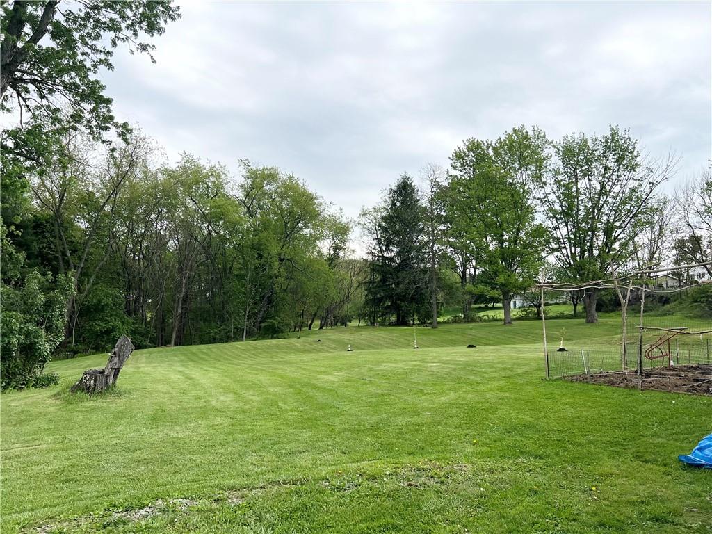 105 Owens View Avenue Apollo, PA 15613 - Photo 29 of 32 View of fabulous back yard.