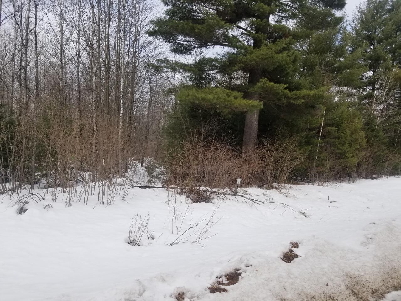 On Loon Lake Road, Unit LOT 3 Eagle River, WI 54521 - Photo 6 of 16 Gallery Image 6
