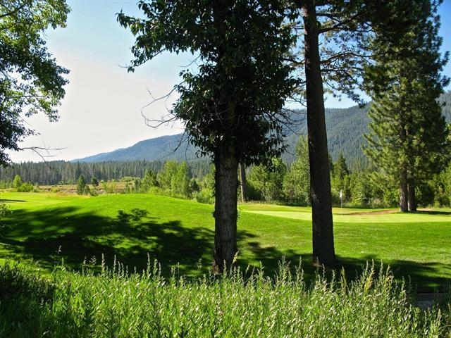 119 Saddle Ridge Road Clio, CA 96106 - Photo 8 of 13 Gallery Image 8