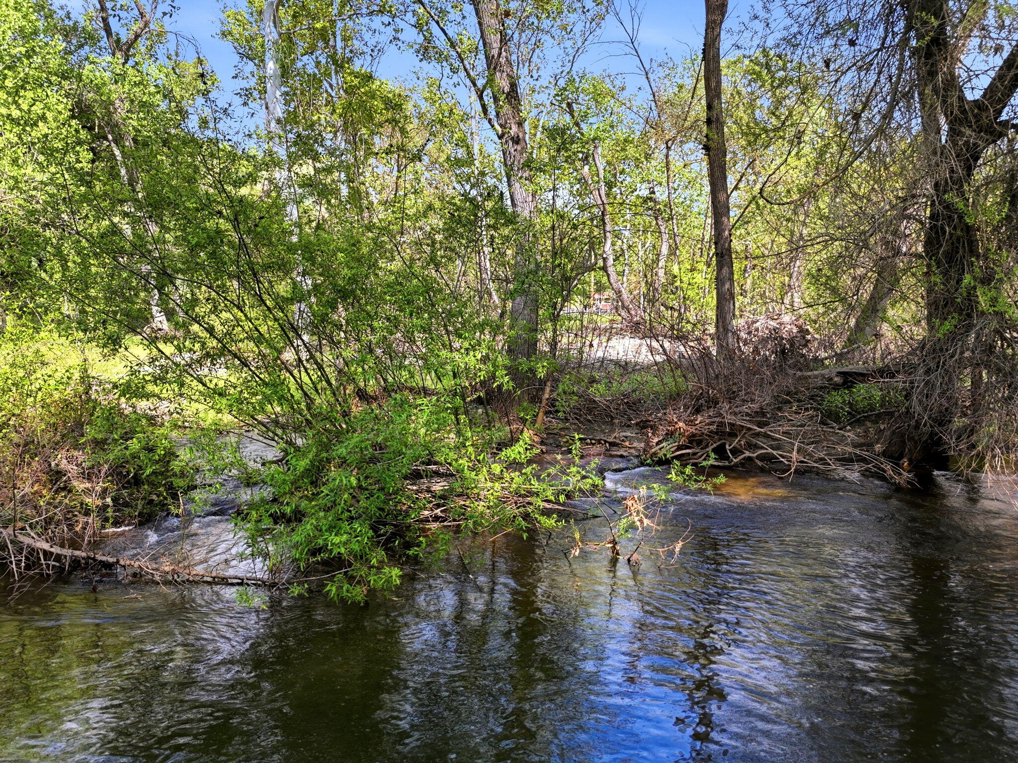 Three North Kaweah River Drive Three Rivers, CA 93271 - Photo 22 of 22 10-42490_N_Kaweah_River_Dr_009