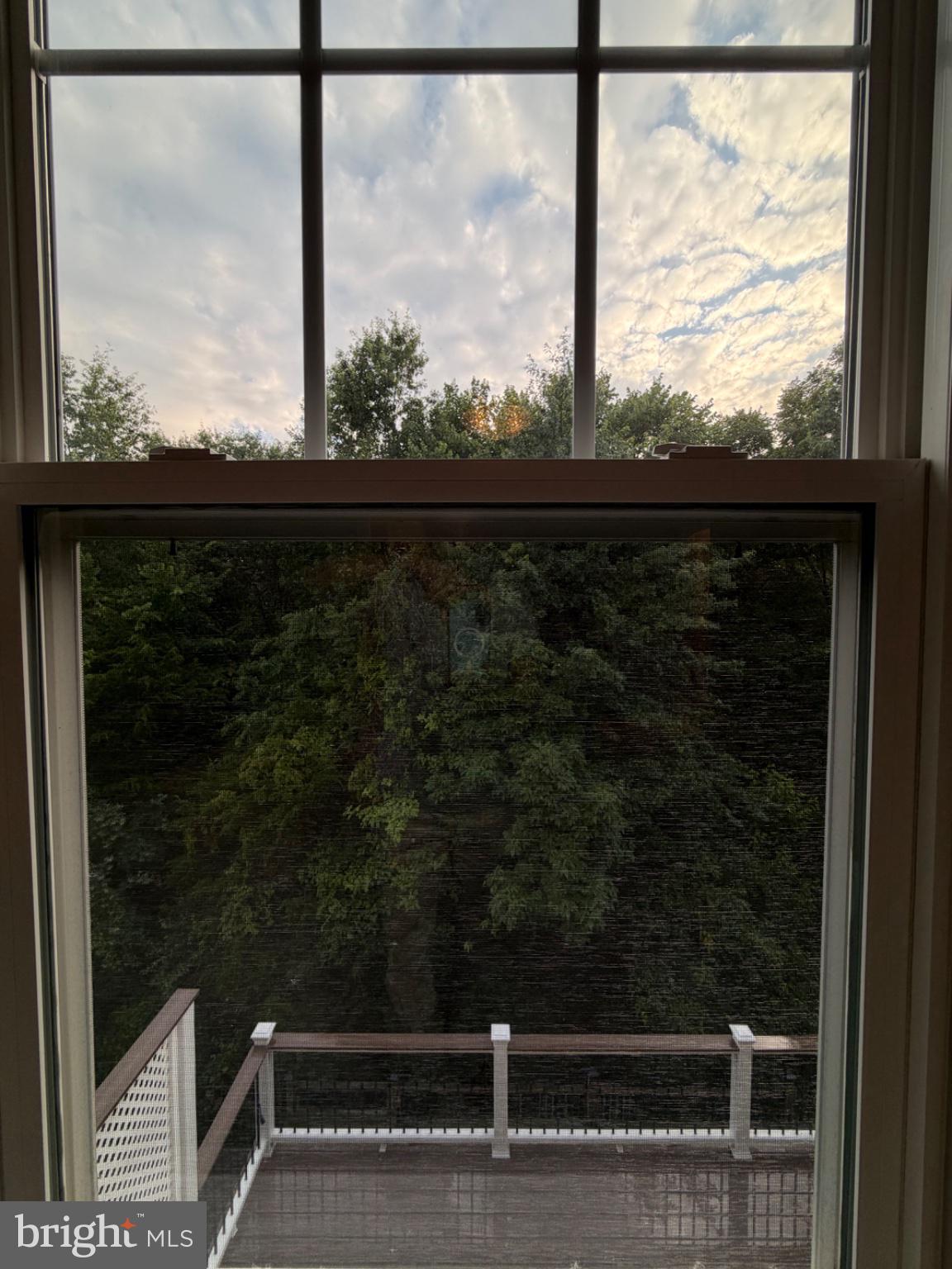 25333 Wakestone Terrace Chantilly, VA 20152 - Photo 78 of 109 Serene view through a tranquil window.