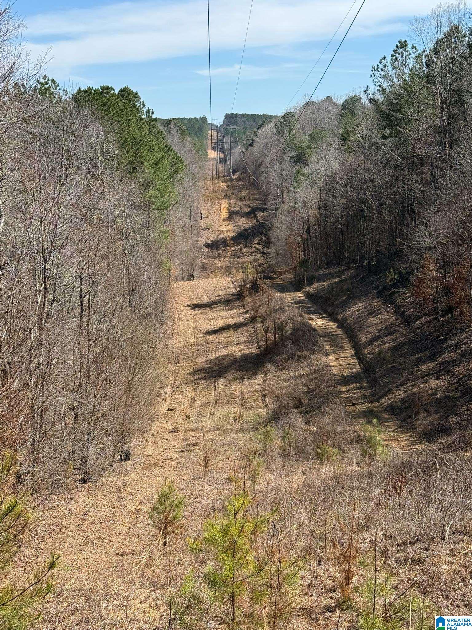 1215 Buddy Vines Camp Road Bessemer, AL 35023 - Photo 25 of 25