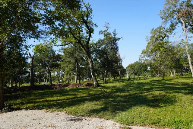 a park with lots of trees and plants