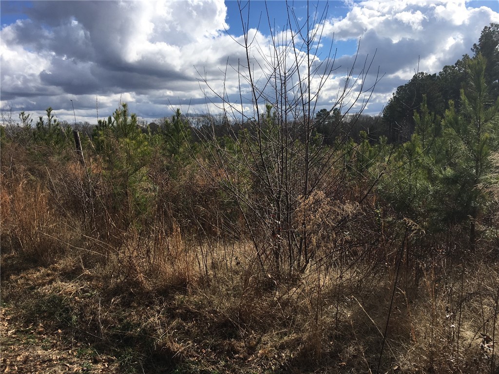 570 Wilton E Hall Road Starr, SC 29684 - Photo 1 of 1