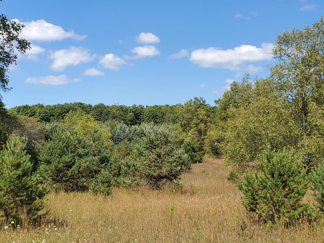 0 West 10 Road Mesick, MI 49668 - Photo 6 of 13