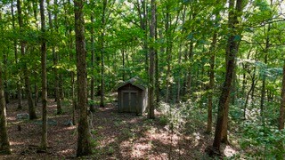 63 Charlsie Lane Waverly, TN 37185 - Photo 5 of 12 a view of a house with a tree