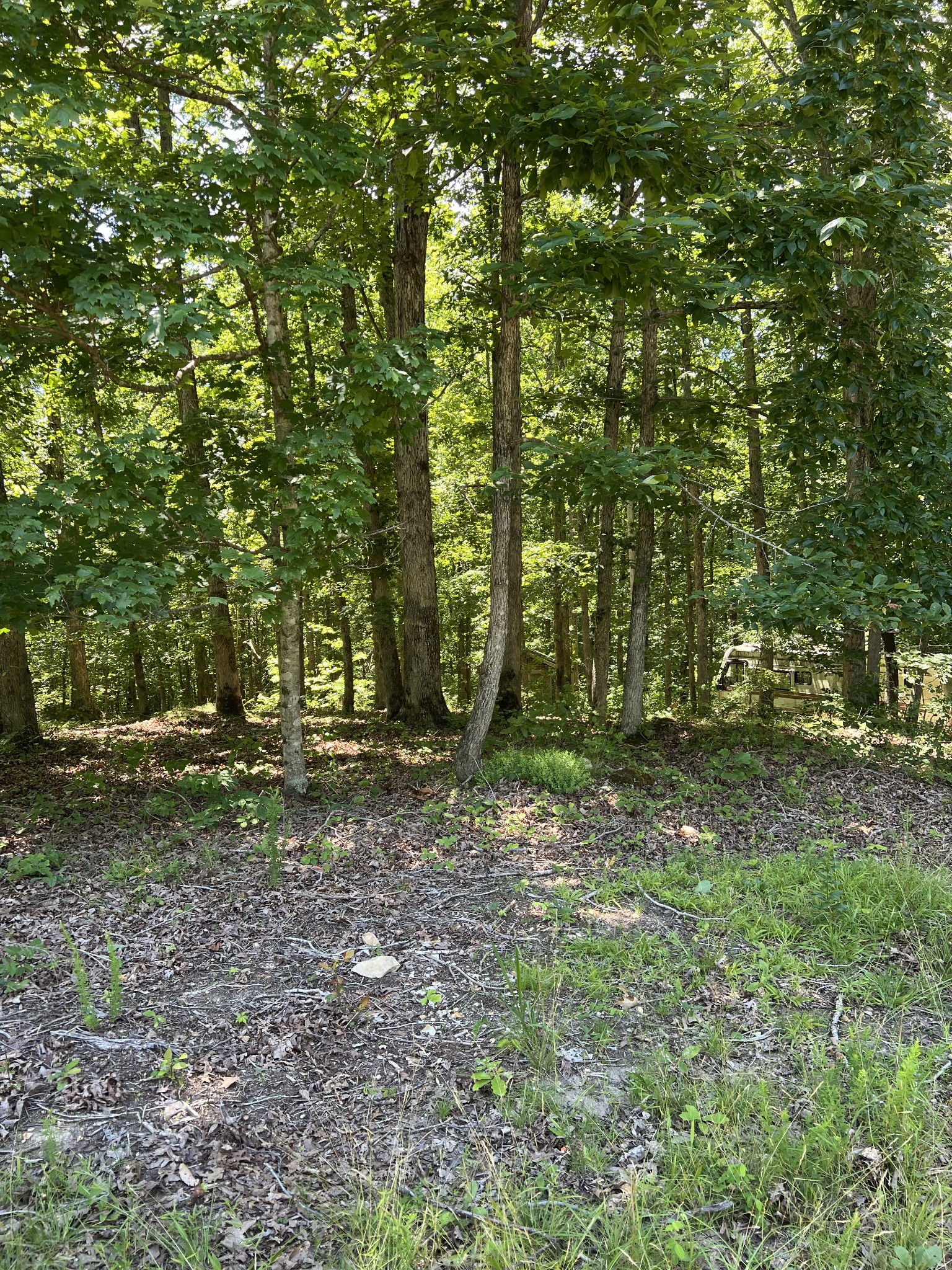 63 Charlsie Lane Waverly, TN 37185 - Photo 8 of 12 a backyard of a house