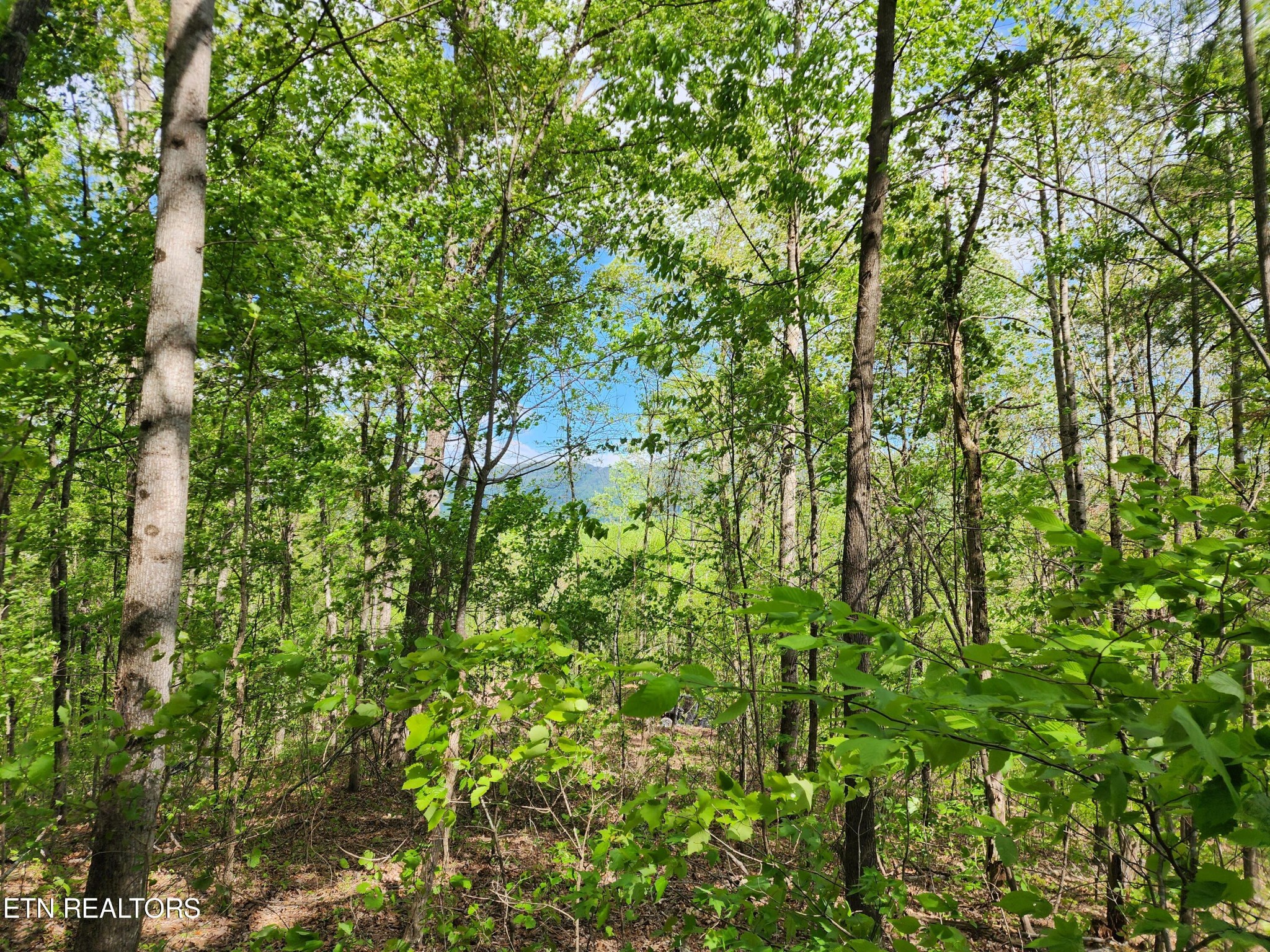 4827 Stump Road Maryville, TN 37803 - Photo 21 of 22 Gallery Image 21