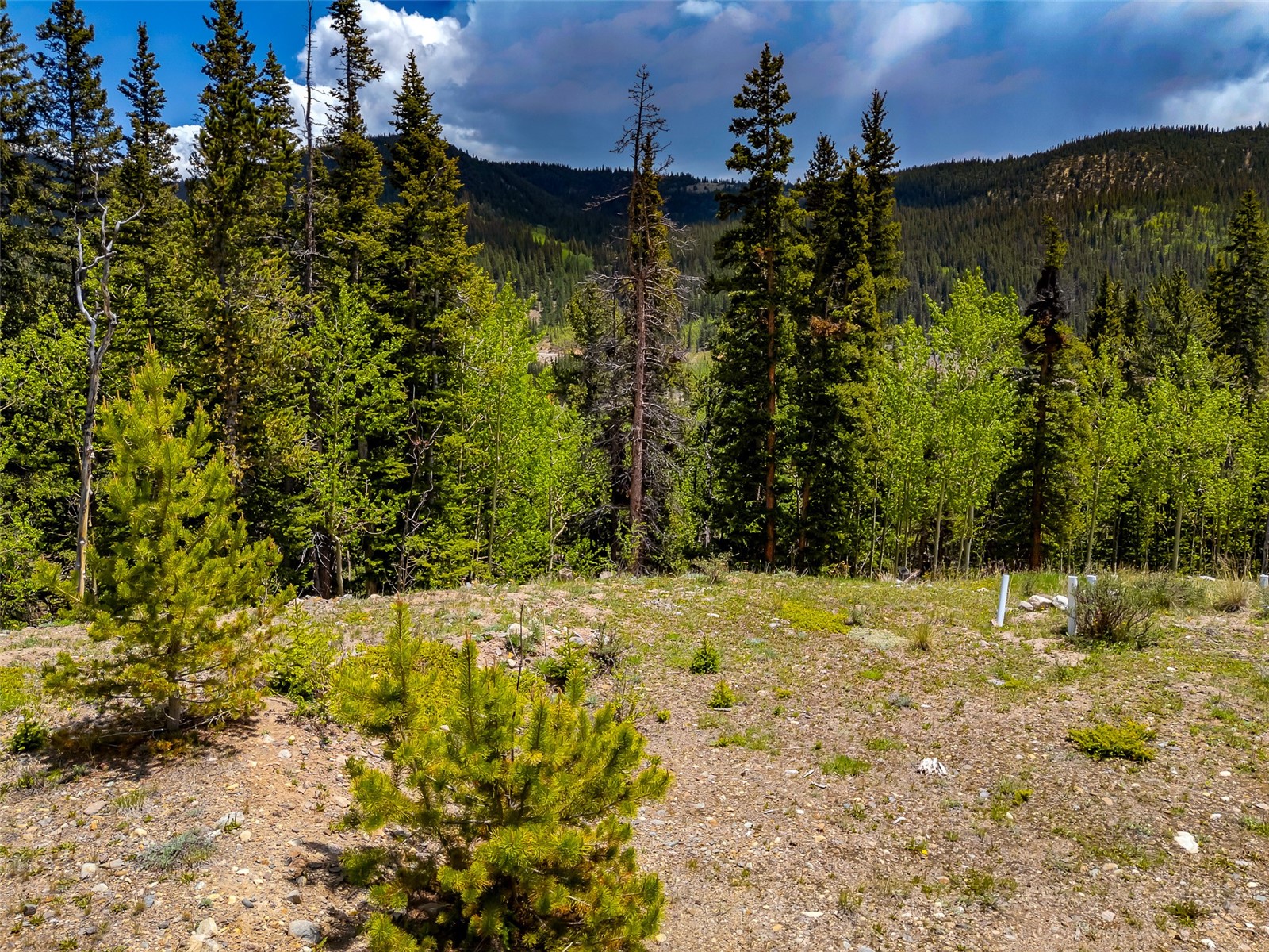 522 Quartzville Road Alma, CO 80420 - Photo 8 of 46