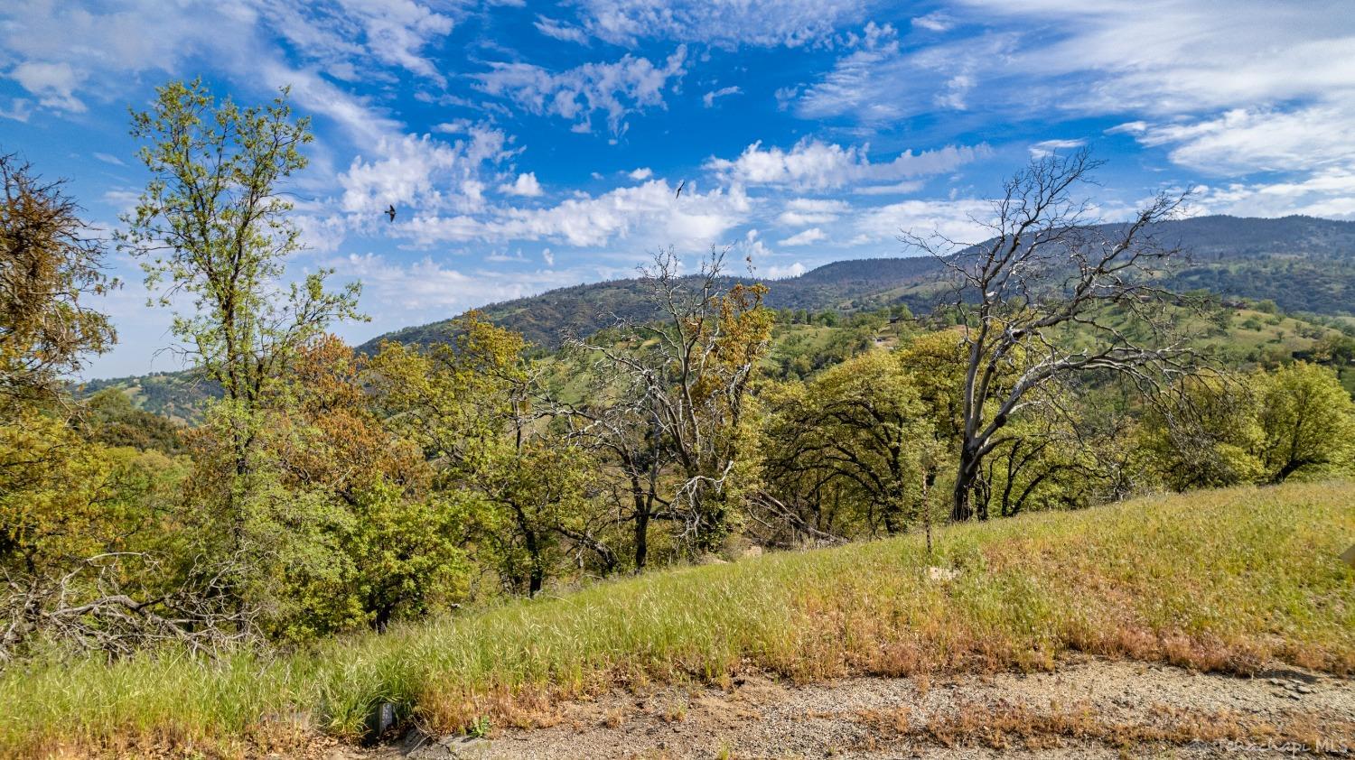 0 Timberline Way Tehachapi, CA 93561 - Photo 3 of 15 Gallery Image 3