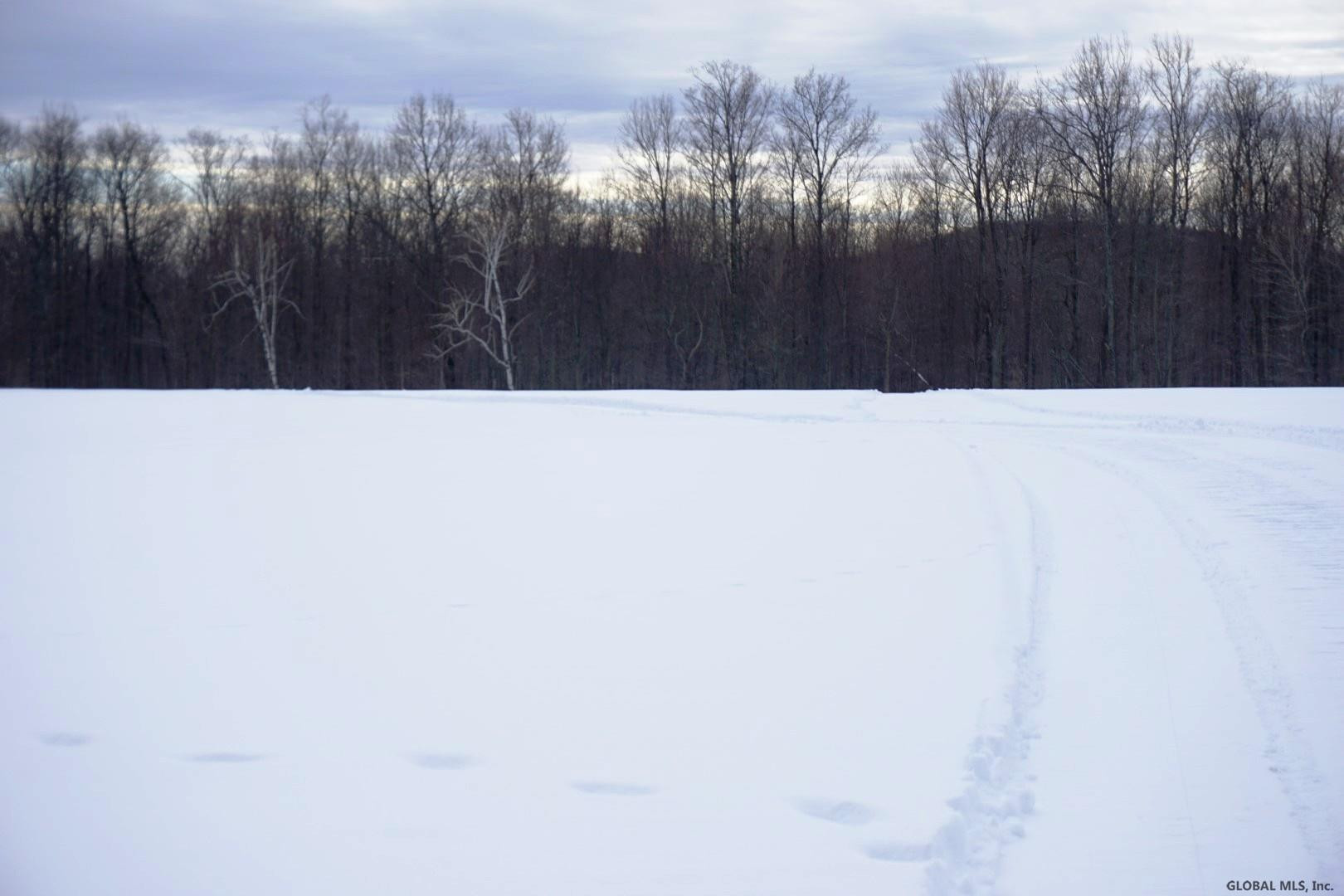 0 Beech Road Sharon Springs, NY 13459 - Photo 14 of 19 Photo 15