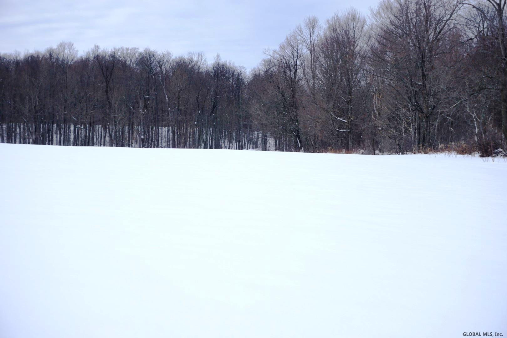 0 Beech Road Sharon Springs, NY 13459 - Photo 16 of 19 Photo 17