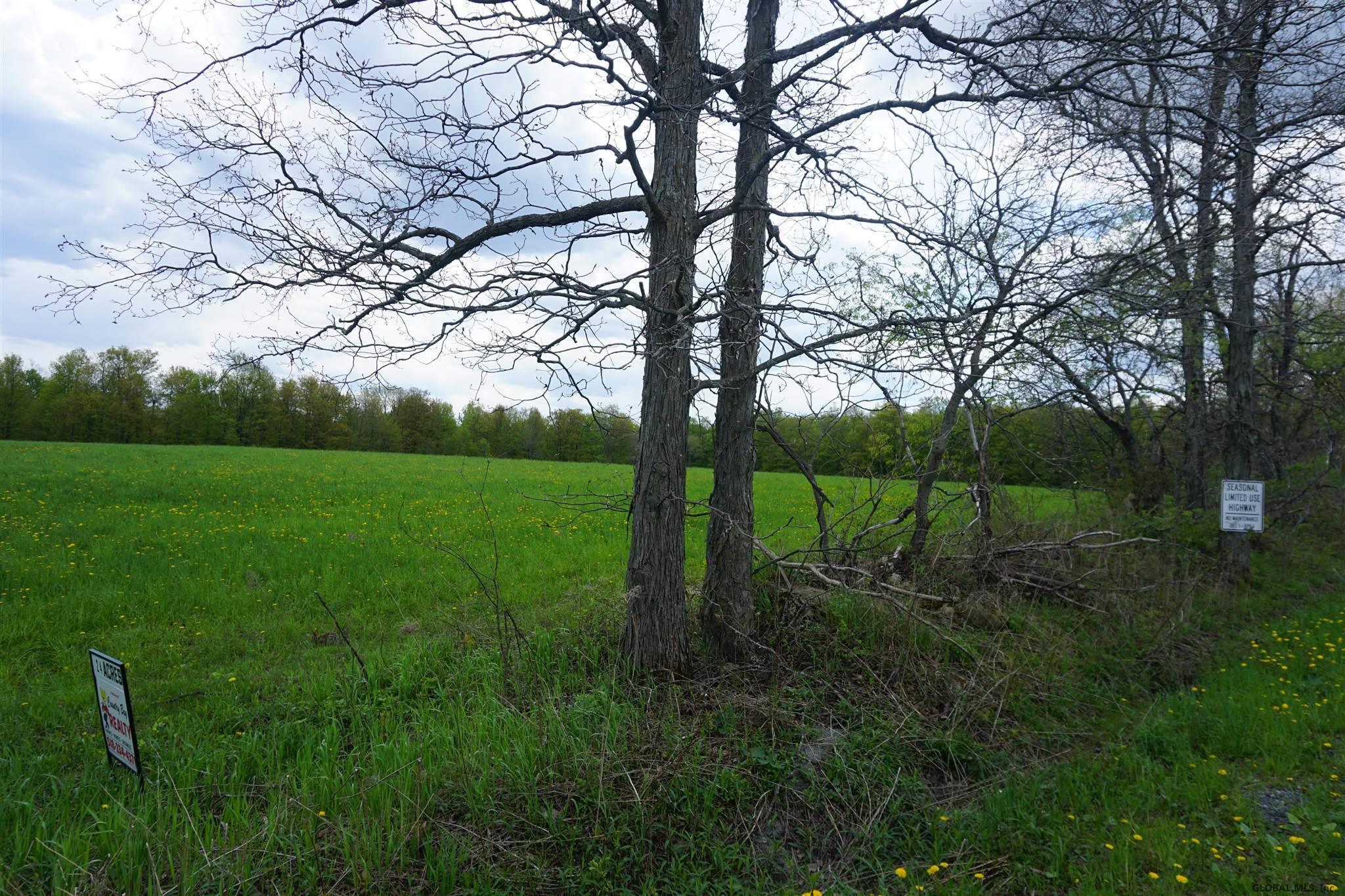 0 Beech Road Sharon Springs, NY 13459 - Photo 18 of 19 Photo 19