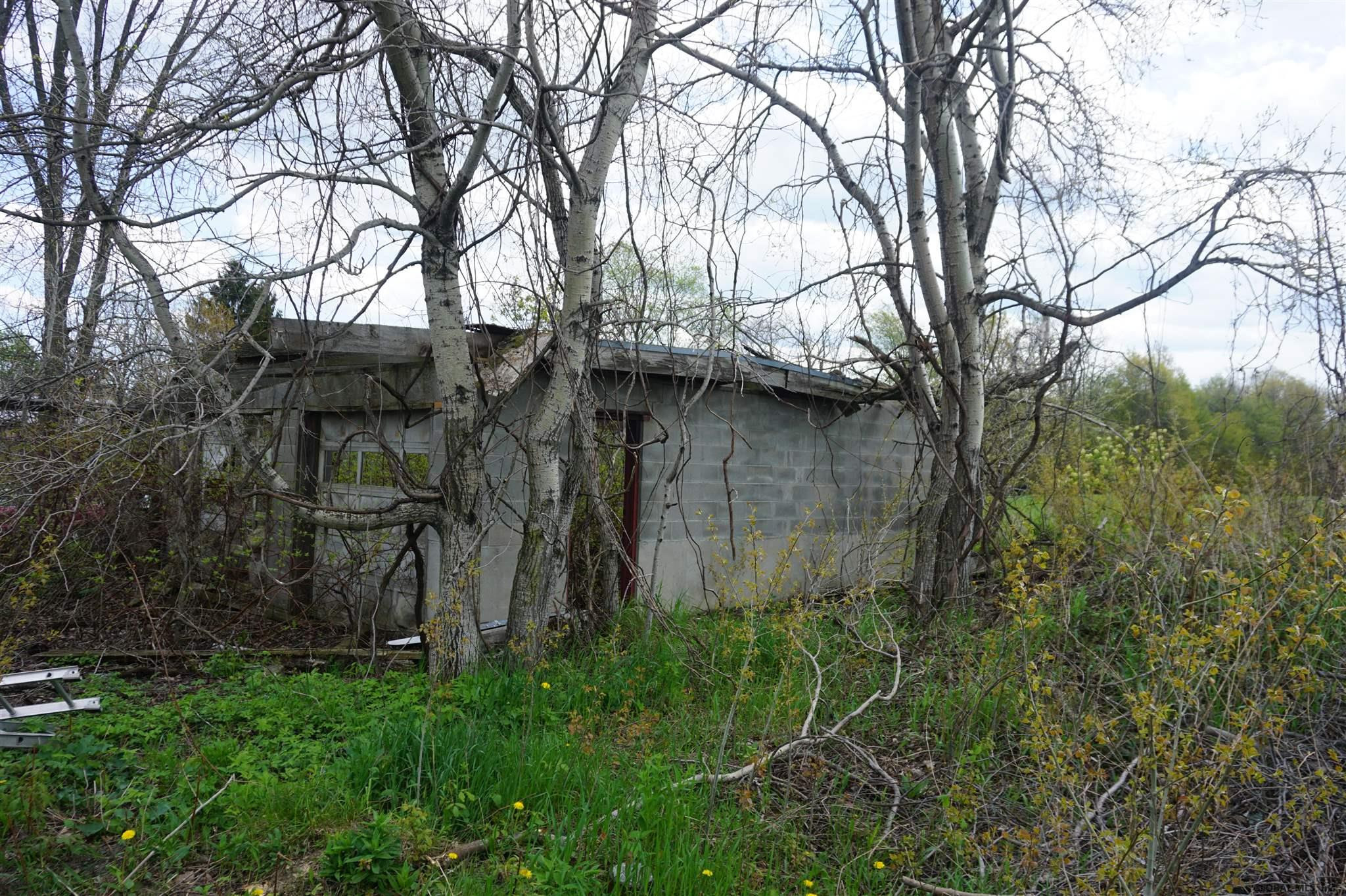 0 Beech Road Sharon Springs, NY 13459 - Photo 8 of 19 Photo 8