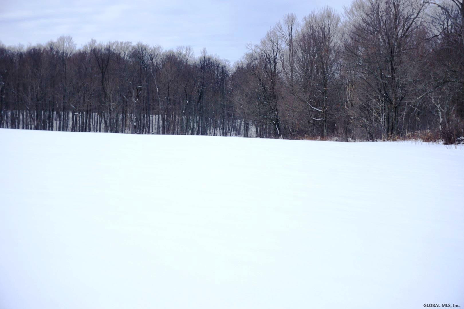 0 Beech Road Sharon Springs, NY 13459 - Photo 9 of 19 Photo 10