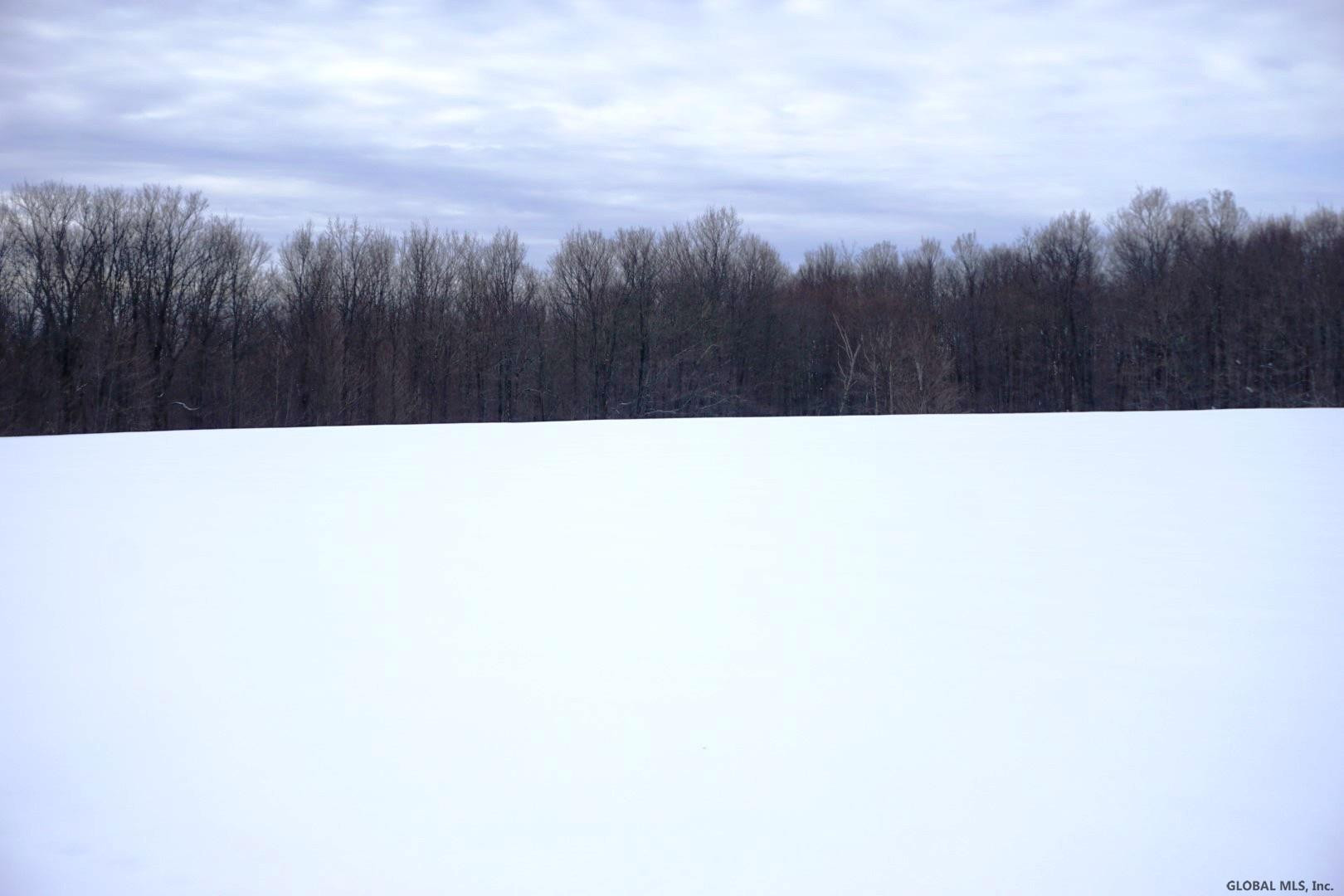0 Beech Road Sharon Springs, NY 13459 - Photo 10 of 19 Photo 11