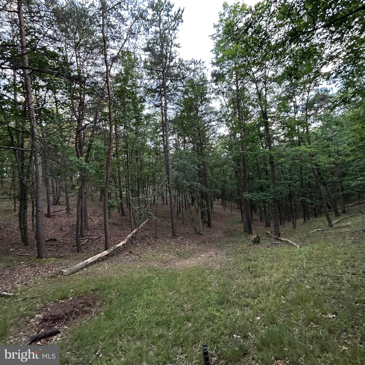 0 Headsville Road Keyser, WV 26726 - Photo 26 of 46