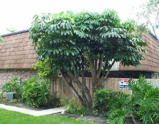 7553 West Courtyard, Unit B Boca Raton, FL 33433 - Photo 1 of 1 Primary Photo