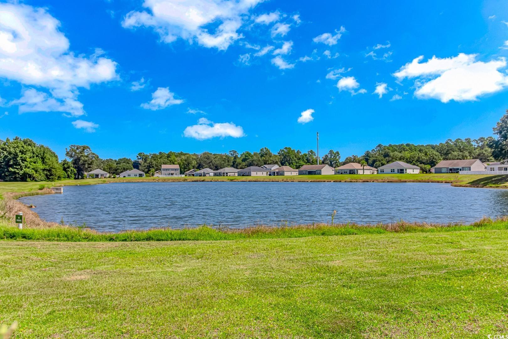 3412 Holly Loop Conway, SC 29527 - Photo 36 of 39