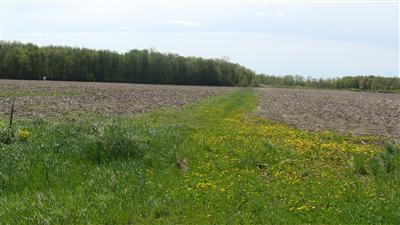 1502 Mt Hope Road South Crystal, MI 48818 - Photo 1 of 1 Primary Photo