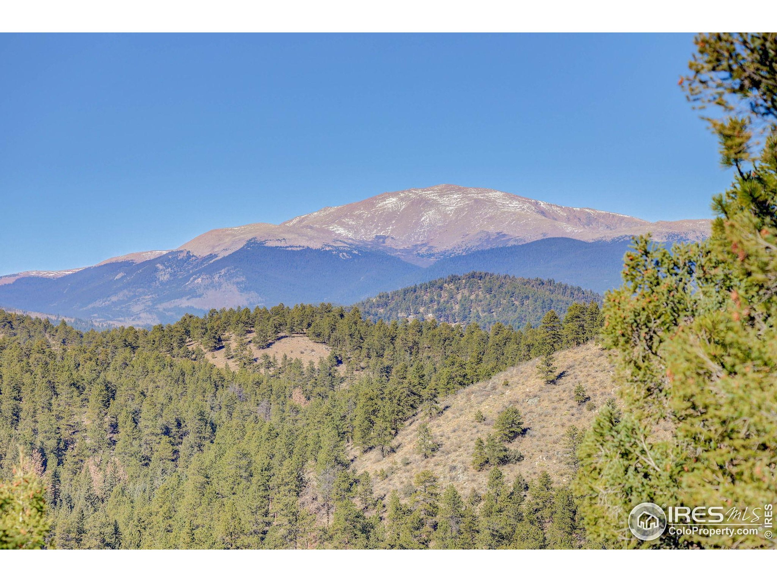 211 Hi Meadow Drive Bailey, CO 80421 - Photo 18 of 19 a view of a lush green hillside and a building