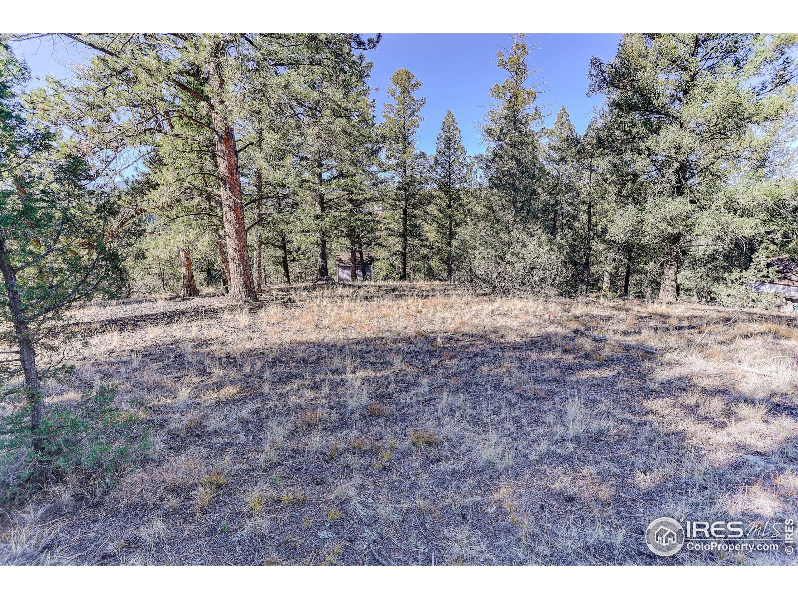 211 Hi Meadow Drive Bailey, CO 80421 - Photo 19 of 19 a view of dirt yard with trees