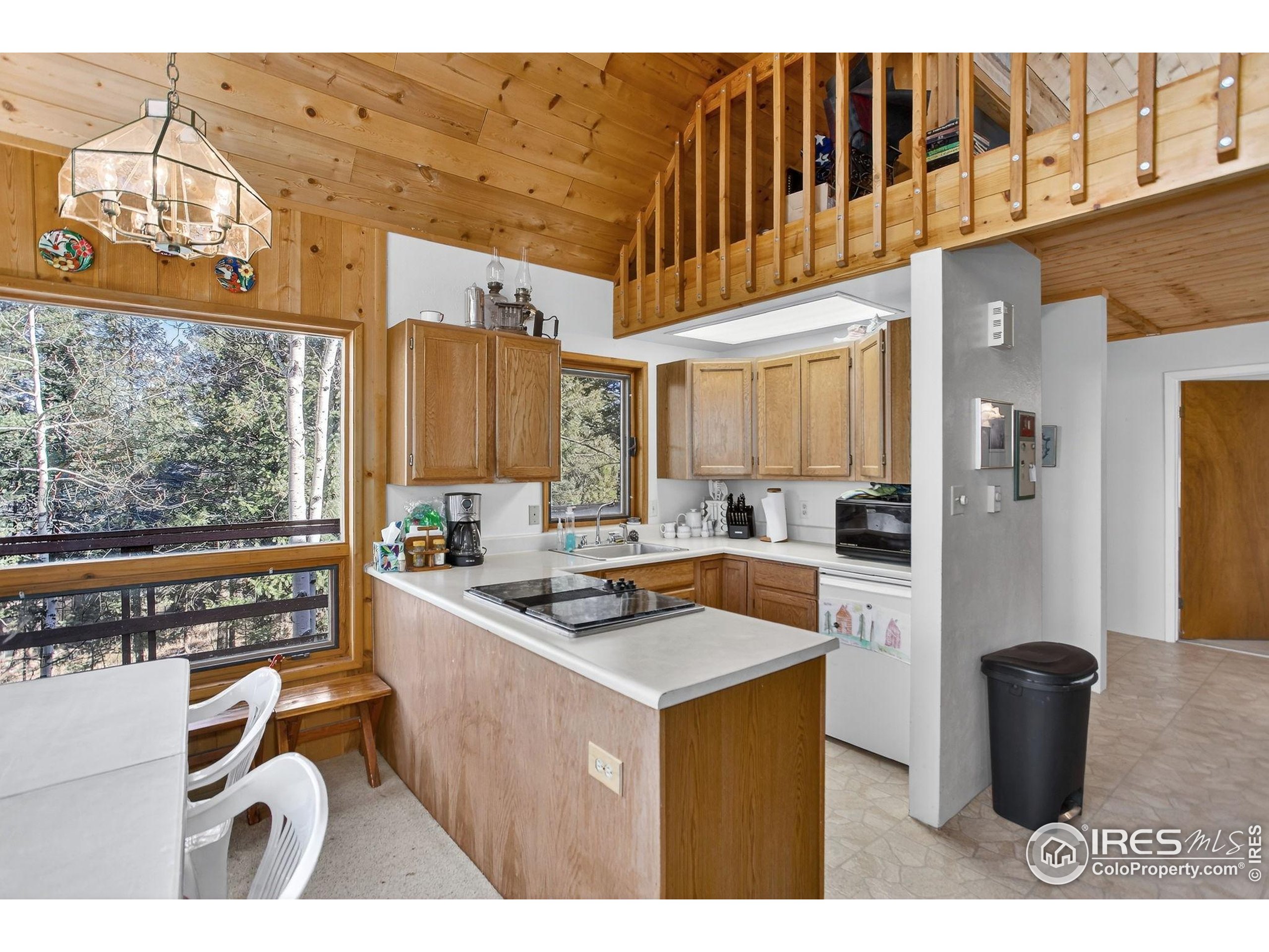 211 Hi Meadow Drive Bailey, CO 80421 - Photo 8 of 19 a kitchen with a appliances and cabinets