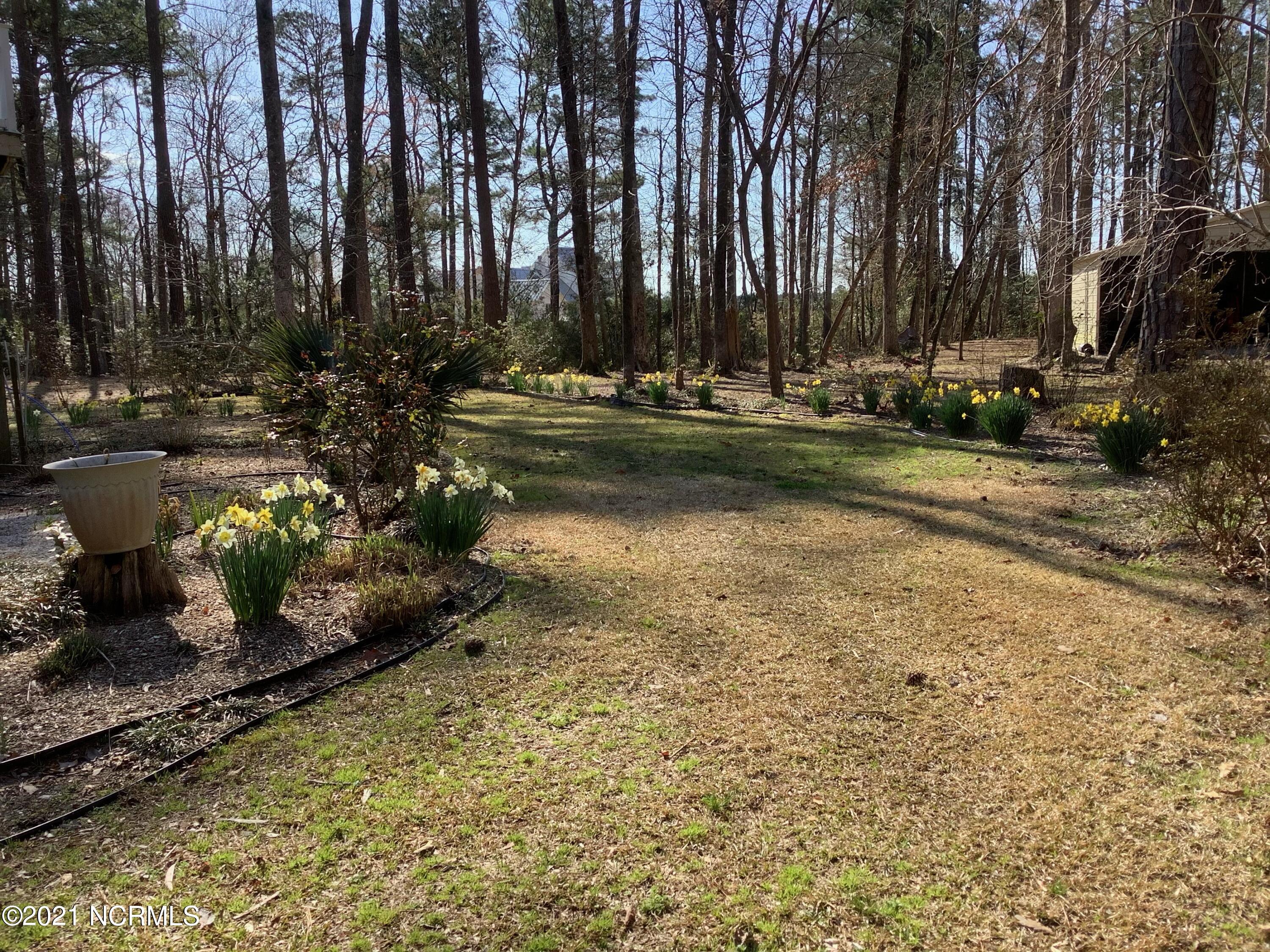 100 White Hall Road Arapahoe, NC 28510 - Photo 75 of 77 image1