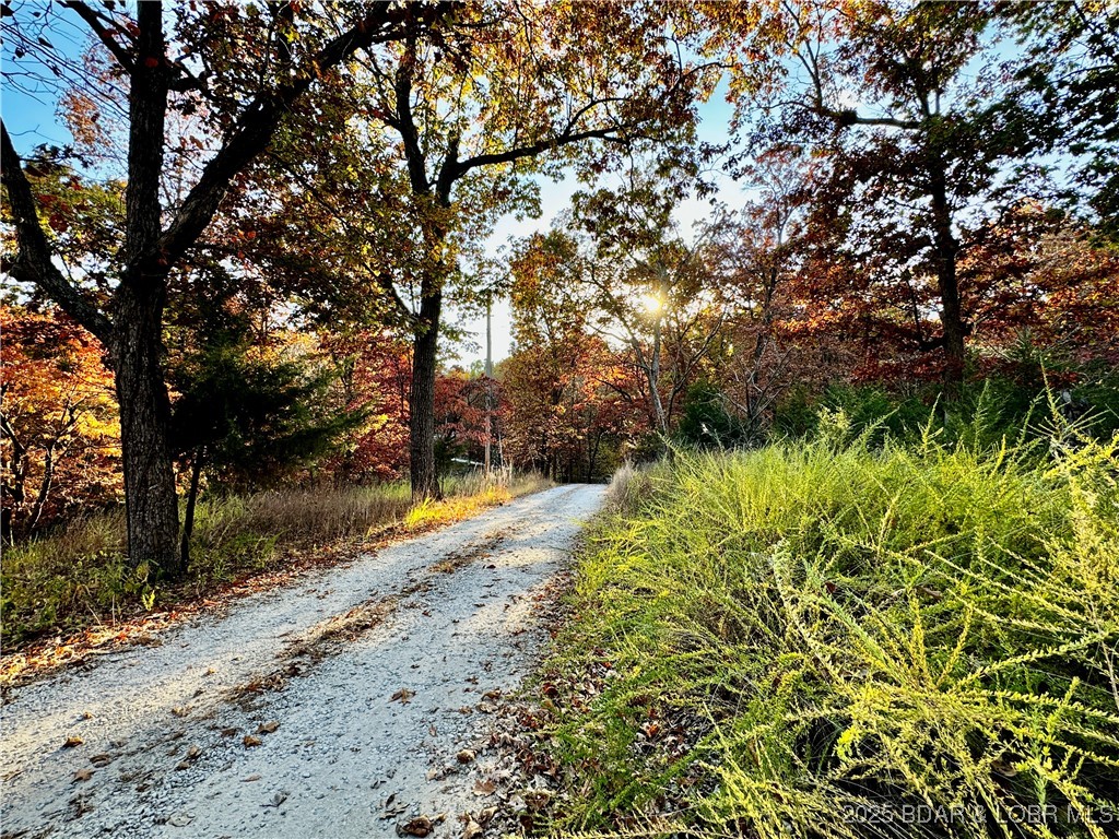 Lot 15 Lake Horizons Road Gravois Mills, MO 65037 - Photo 2 of 8