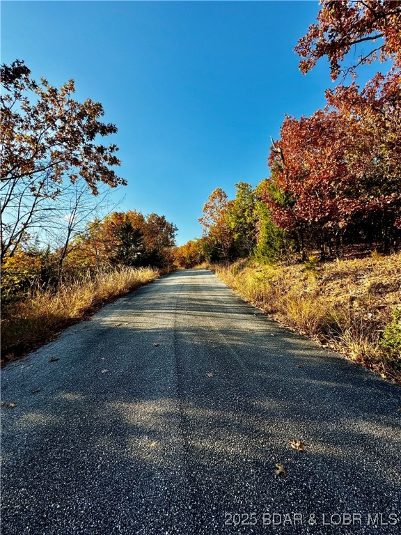 Lot 15 Lake Horizons Road Gravois Mills, MO 65037 - Photo 4 of 8