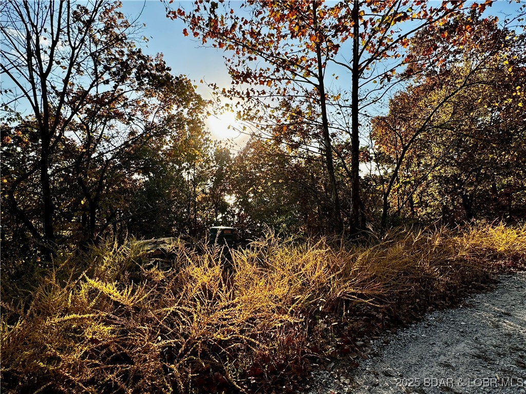 Lot 15 Lake Horizons Road Gravois Mills, MO 65037 - Photo 6 of 8