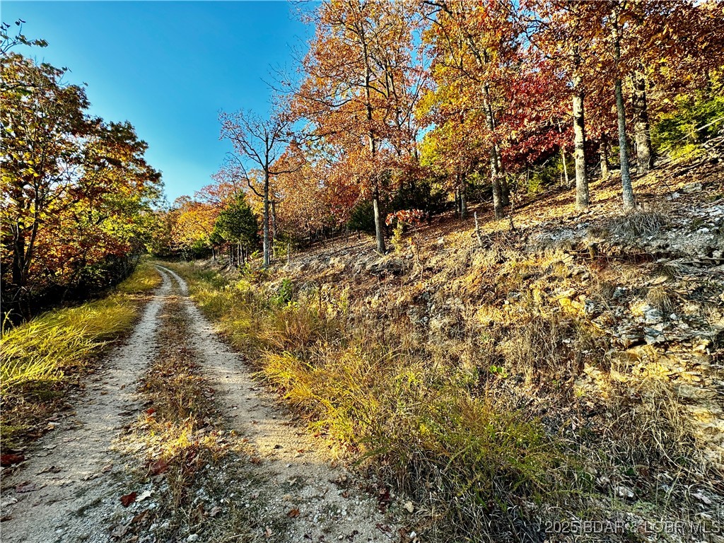 Lot 15 Lake Horizons Road Gravois Mills, MO 65037 - Photo 7 of 8