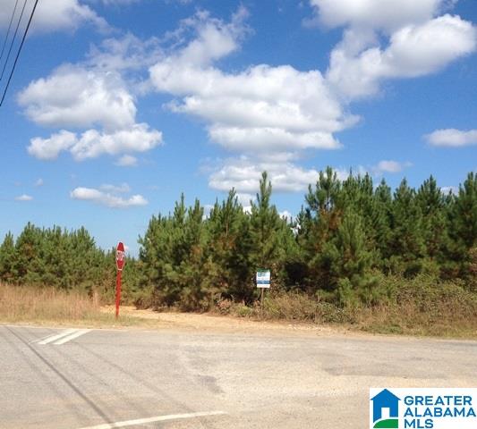 78 Highway 78, Unit 72 ACRES Heflin, AL 36264 - Photo 5 of 7