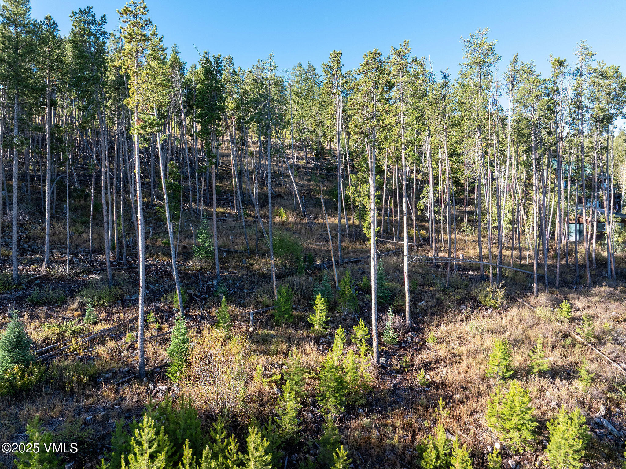 548 Big Dipper Road Wolcott, CO 81655 - Photo 4 of 9 2509_548_big_dipper_rd_aerial_c