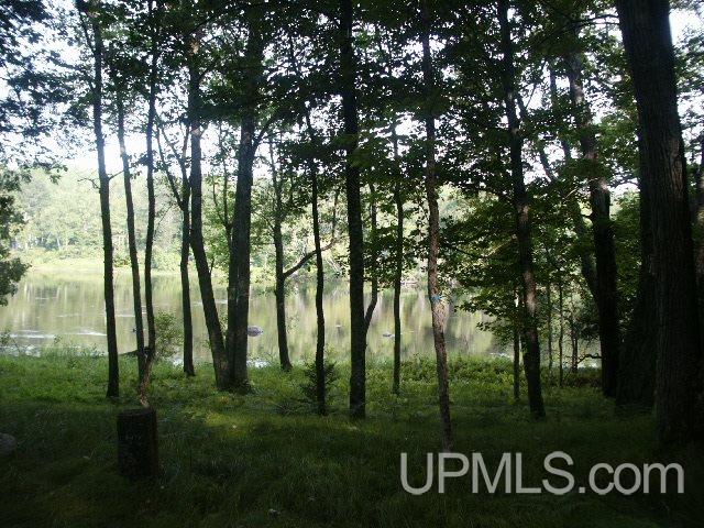Parcel 2 Off County Rd 577, Unit 2 Carney, MI 49812 - Photo 8 of 13