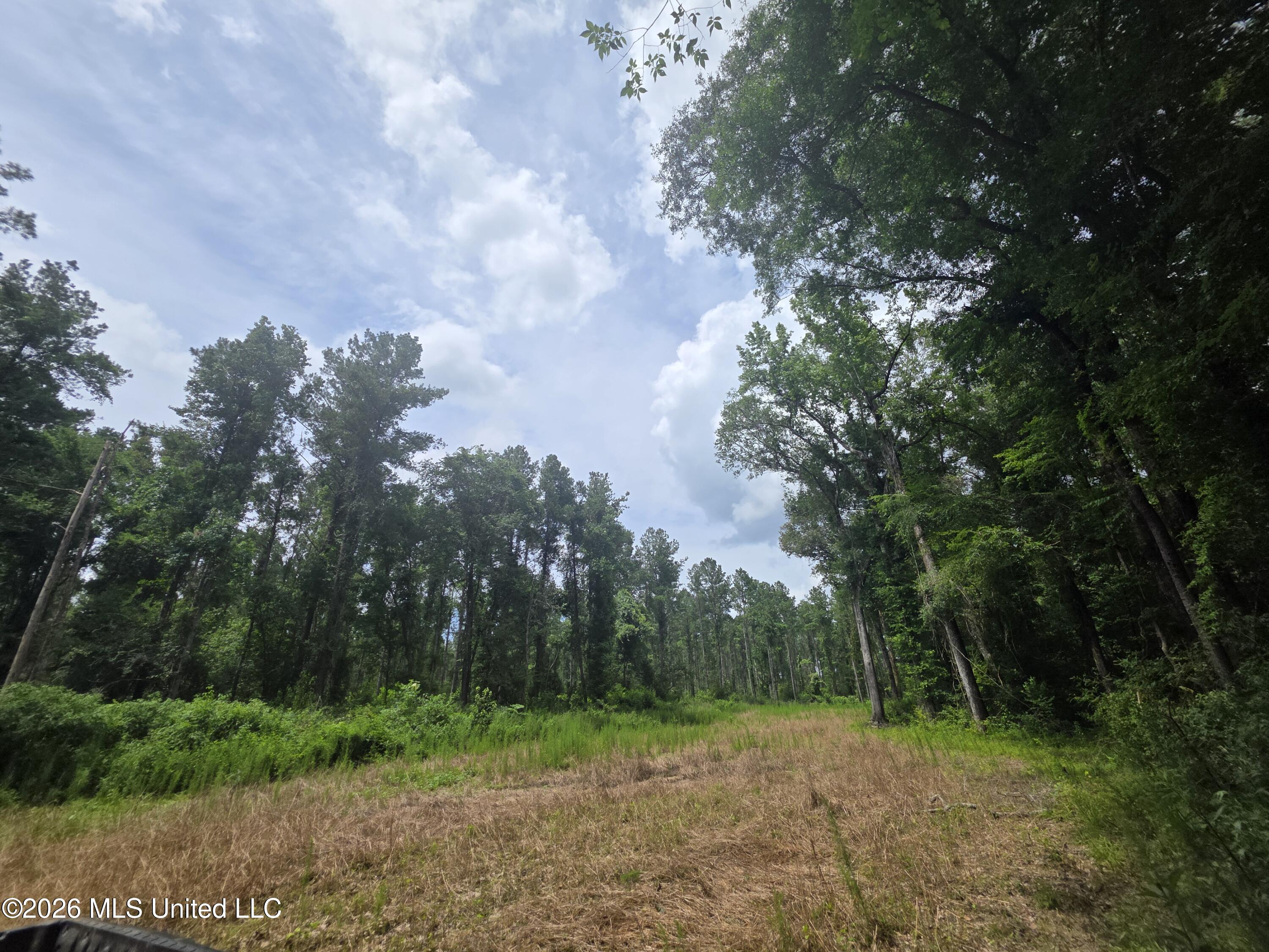 244 Foster Road Sontag, MS 39665 - Photo 75 of 105 35675