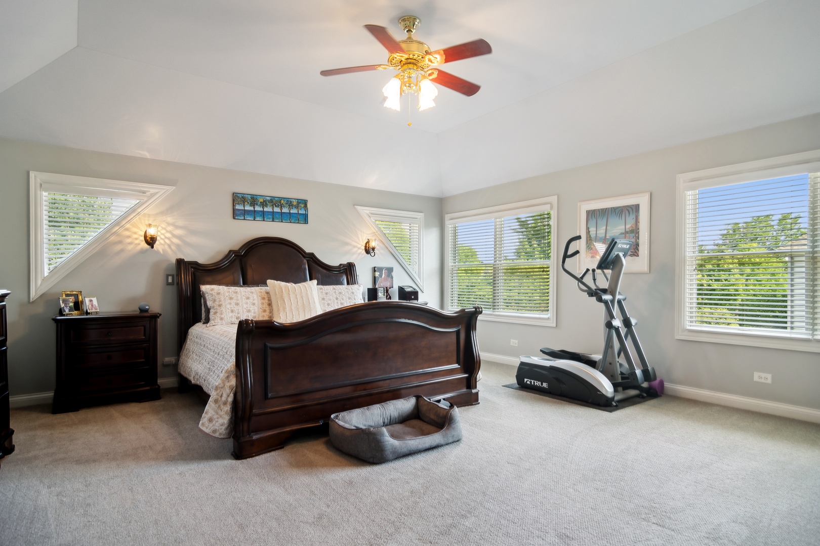 11505 Heggs Road Plainfield, IL 60585 - Photo 19 of 29