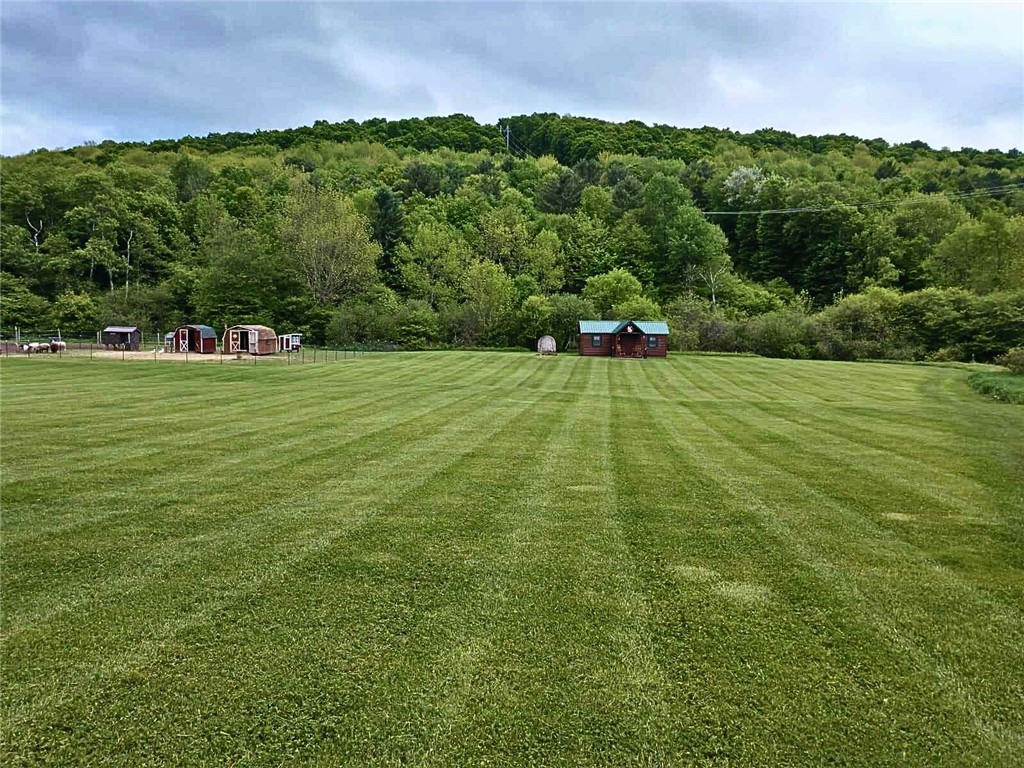 2332 Houghtaling Hollow Road Meredith, NY 13757 - Photo 23 of 42