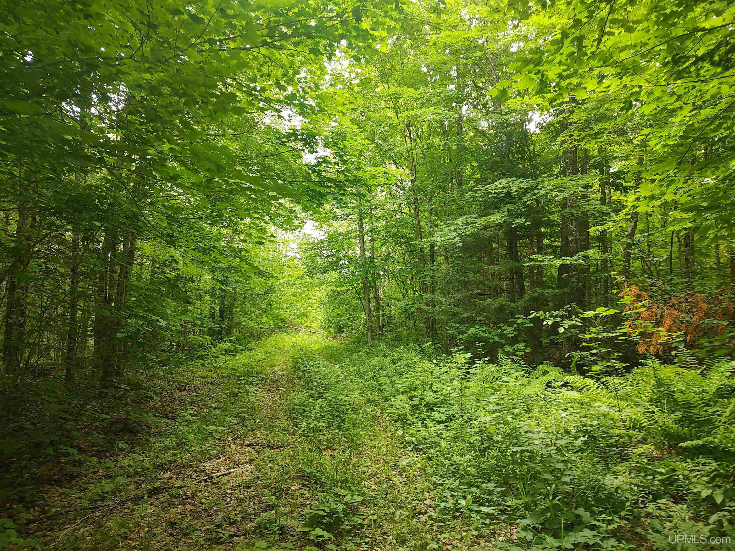 60-acres Sleepy Hollow Road Ishpeming, MI 49849 - Photo 2 of 29