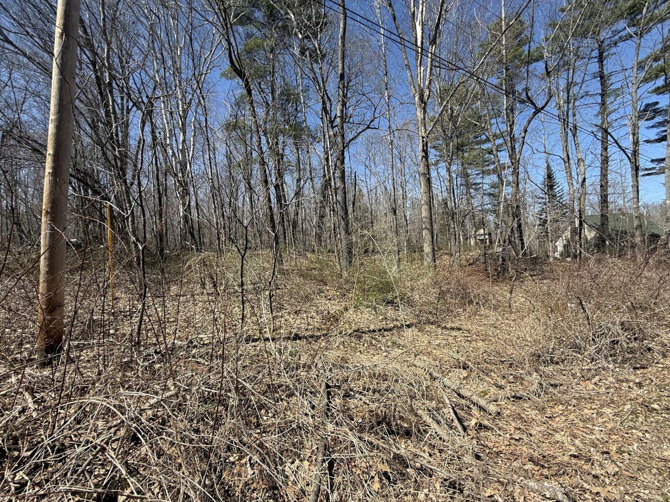 8 Williams Road Vassalboro, ME 04989 - Photo 5 of 9 IMG_9511_result